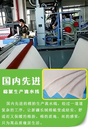 國內先進棉絮生產(chǎn)流水線